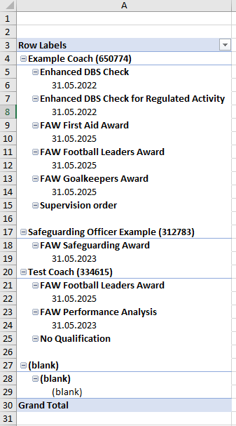 Completed Pivot Table - coaches test.png